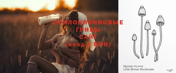 прущие грибы Мегион
