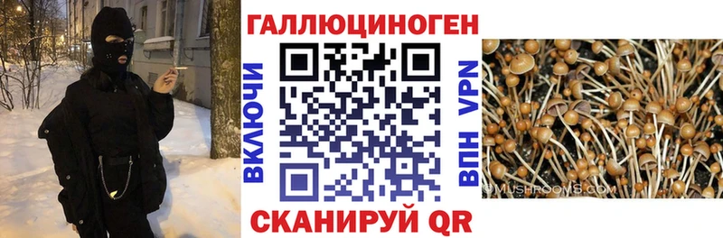 Галлюциногенные грибы MAGIC MUSHROOMS Дивногорск